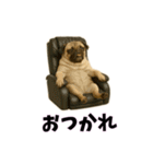 おもしろ動物の笑える一言リアルスタンプ（個別スタンプ：5）