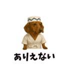 おもしろ動物の笑える一言リアルスタンプ（個別スタンプ：6）
