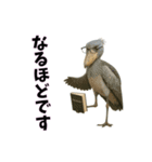 おもしろ動物の笑える一言リアルスタンプ（個別スタンプ：7）