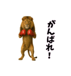 おもしろ動物の笑える一言リアルスタンプ（個別スタンプ：8）