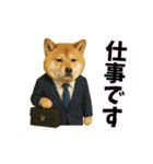 おもしろ動物の笑える一言リアルスタンプ（個別スタンプ：15）