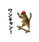 おもしろ動物の笑える一言リアルスタンプ（個別スタンプ：17）
