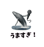 おもしろ動物の笑える一言リアルスタンプ（個別スタンプ：21）