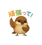 使える！可愛いコシアカツバメとスズメ（個別スタンプ：5）