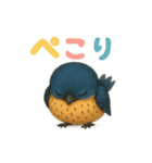 使える！可愛いコシアカツバメとスズメ（個別スタンプ：13）