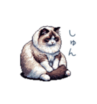 リアクションラグドール【連絡・日常会話】（個別スタンプ：6）