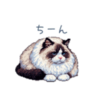 リアクションラグドール【連絡・日常会話】（個別スタンプ：9）
