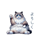 リアクションラグドール【連絡・日常会話】（個別スタンプ：29）