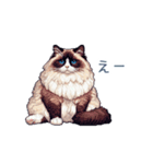 リアクションラグドール【連絡・日常会話】（個別スタンプ：32）