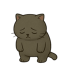 黒猫むぅ 2（個別スタンプ：6）