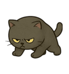 黒猫むぅ 2（個別スタンプ：11）