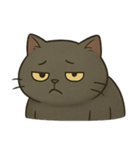 黒猫むぅ 2（個別スタンプ：22）