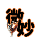 チワワのきまぐれ気分スタンプ（個別スタンプ：13）