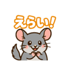 チンチラとデグーの仲良しLINEスタンプ（個別スタンプ：11）