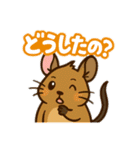 チンチラとデグーの仲良しLINEスタンプ（個別スタンプ：12）