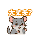チンチラとデグーの仲良しLINEスタンプ（個別スタンプ：13）