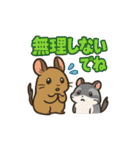 チンチラとデグーの仲良しLINEスタンプ（個別スタンプ：17）