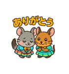 チンチラとデグーの仲良しLINEスタンプ（個別スタンプ：31）