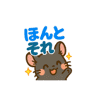 チンチラとデグーの仲良しLINEスタンプ（個別スタンプ：34）
