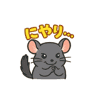 チンチラとデグーの仲良しLINEスタンプ（個別スタンプ：40）