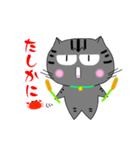 アメショぽんず日常SP6（個別スタンプ：12）