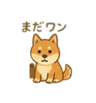 りき 日常生活2（個別スタンプ：10）