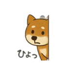 りき 日常生活2（個別スタンプ：12）