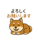 りき 日常生活2（個別スタンプ：15）