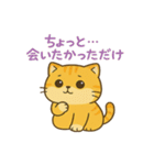 マルもふキャット（個別スタンプ：1）