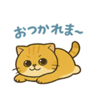 マルもふキャット（個別スタンプ：2）