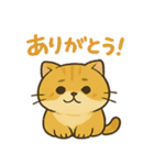 マルもふキャット（個別スタンプ：3）