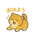 マルもふキャット（個別スタンプ：4）
