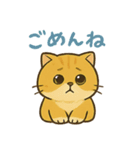マルもふキャット（個別スタンプ：5）
