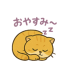 マルもふキャット（個別スタンプ：6）