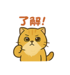 マルもふキャット（個別スタンプ：9）