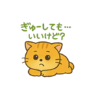 マルもふキャット（個別スタンプ：13）
