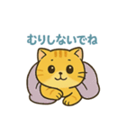 マルもふキャット（個別スタンプ：17）