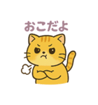 マルもふキャット（個別スタンプ：19）