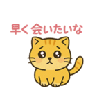 マルもふキャット（個別スタンプ：20）