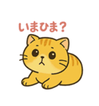 マルもふキャット（個別スタンプ：25）