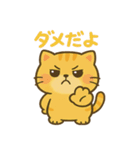 マルもふキャット（個別スタンプ：27）