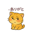 マルもふキャット（個別スタンプ：28）