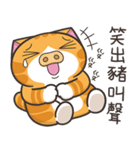 ランラン猫 67 (台湾版)（個別スタンプ：3）