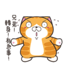 ランラン猫 67 (台湾版)（個別スタンプ：10）