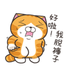 ランラン猫 67 (台湾版)（個別スタンプ：11）