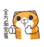 ランラン猫 67 (台湾版)（個別スタンプ：14）