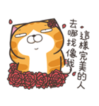 ランラン猫 67 (台湾版)（個別スタンプ：17）