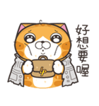 ランラン猫 67 (台湾版)（個別スタンプ：21）