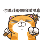 ランラン猫 67 (台湾版)（個別スタンプ：22）