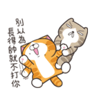 ランラン猫 67 (台湾版)（個別スタンプ：23）